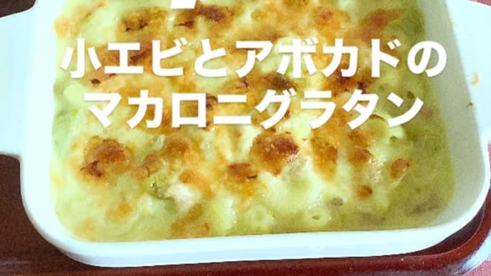 令和7年3月13日の日替わり定食(800円)は、小エビとアボカドのマカロニグラタンです