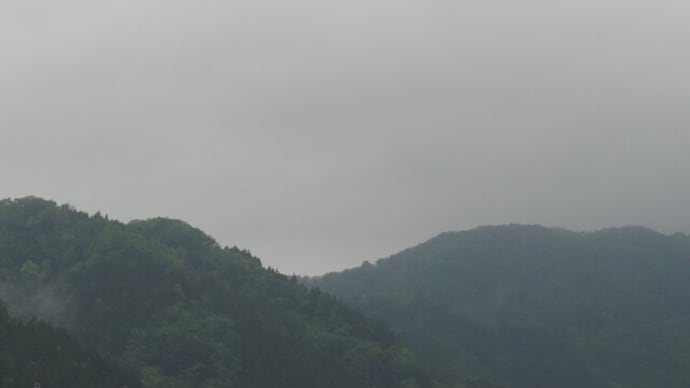 お米から〆張鶴へ