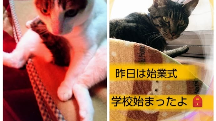 あられが降ったわよ! 新年レッスンの振り返りだあ!