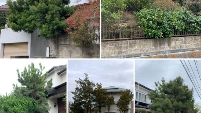 近隣へのご迷惑 蜂の巣を作られる前にお庭の手入れ