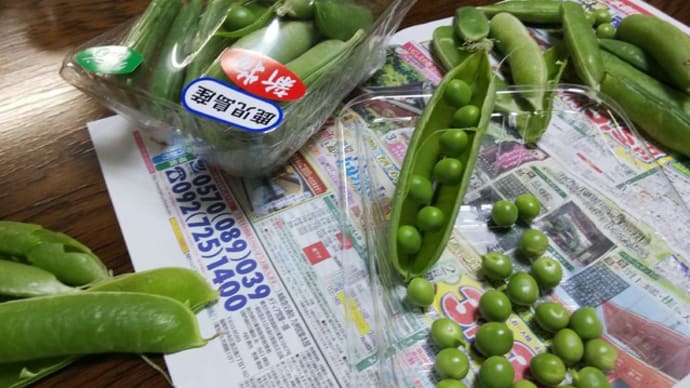 豆ごはんと筍の煮たんを