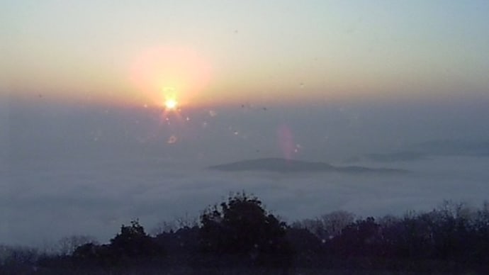 少し高いが霧の海