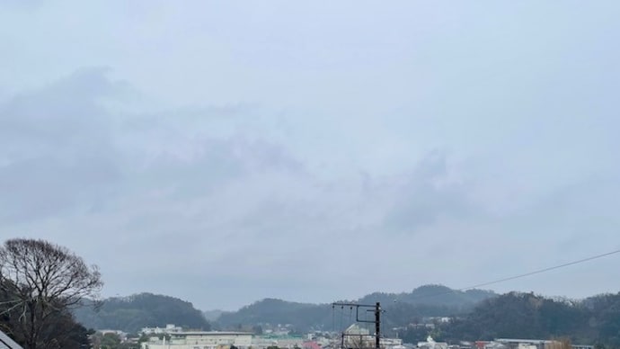 何に対するにしても対策は臨機応変に