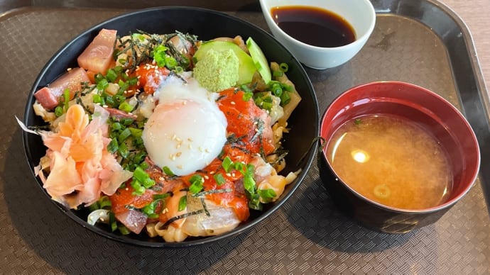 漁師賄い丼