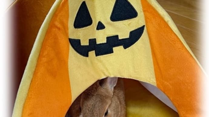 ハロウィンの練習