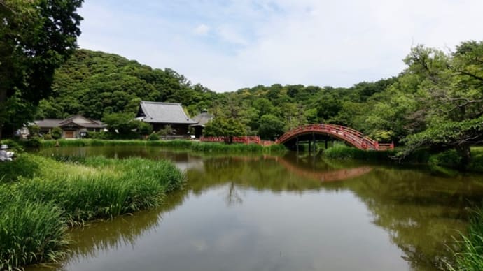 20240607の天気@横浜鶴見