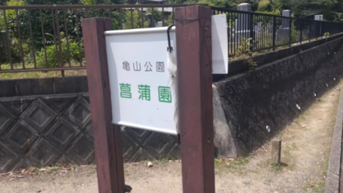 亀山菖蒲園