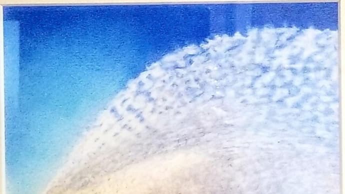 色鉛筆画