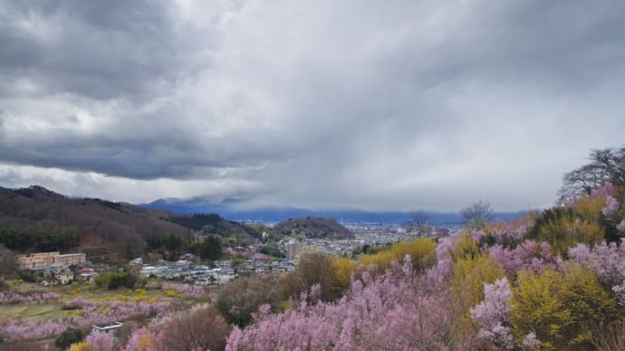 早咲きの桜が見頃に♪...パステルカラーに彩られた生け花の里にて(2025.3.30)#3 福幸の鐘、天空の鐘、希望の鐘...それぞれの展望台を巡って
