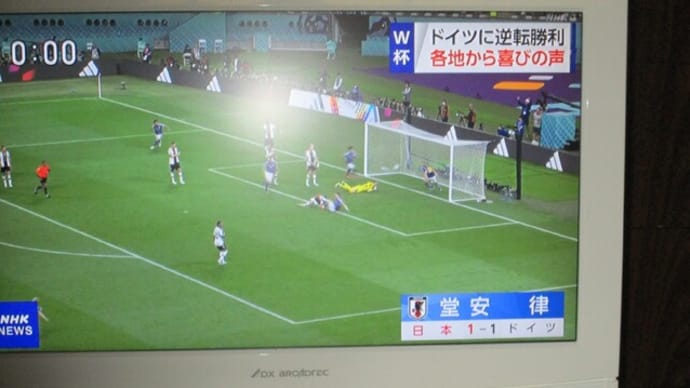 凄いぞ！日本･･･Ｗ杯サッカーカタール大会