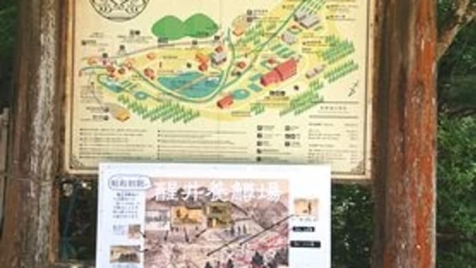 森林浴