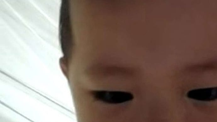 出張の予定完了!!