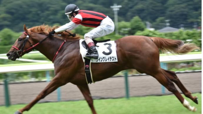 ウイングレイテスト(NHKマイルカップ)