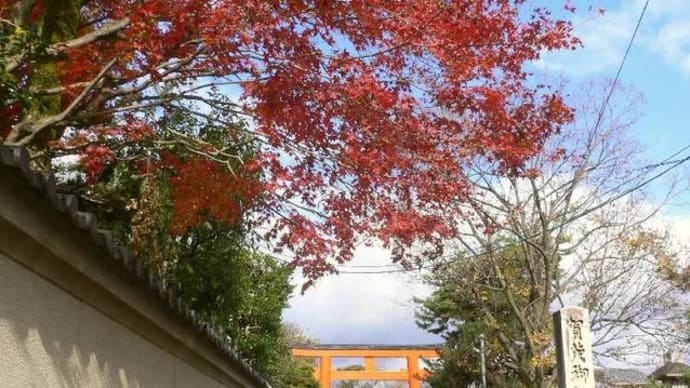 京都紅葉:最終回は下鴨神社!