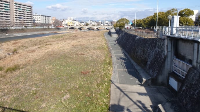 千本鳥居と竹之下道〜ナガスポウォーキング同好会例会