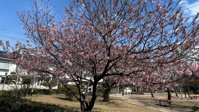 ••春分の日は春の嵐に❗️••