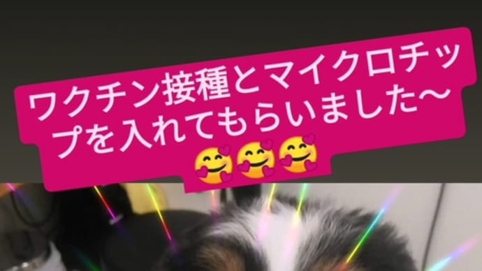 祝2ヶ月〜🎉🎉🎉