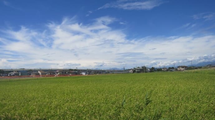 茅ヶ崎里山ポタリング