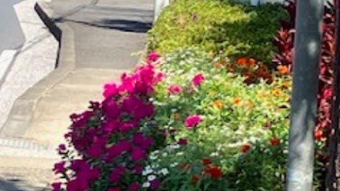 長芋と梅干しのスープ