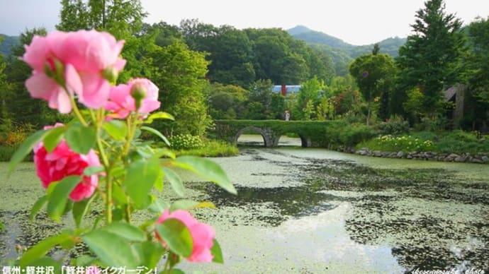 ワクチン接種の副反応…いや後遺症かも……?