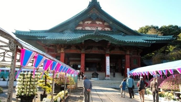 #5417 大光院('16 ぐんま秋)