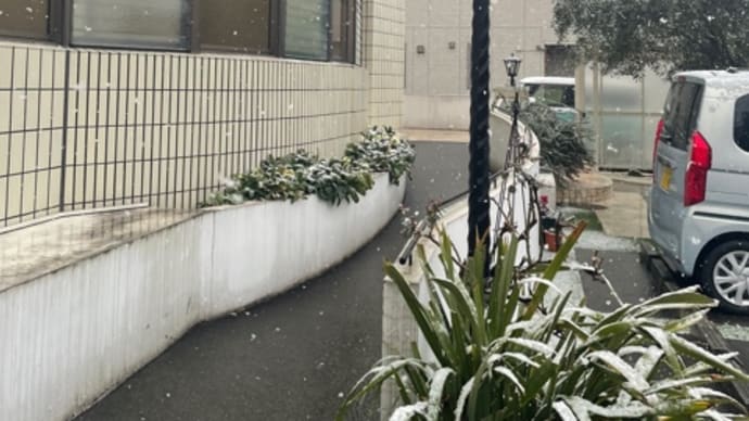 雪❄️