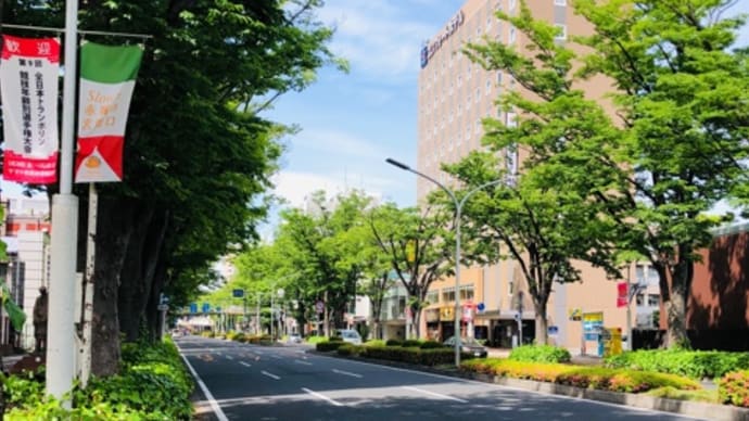 珍しい車たち