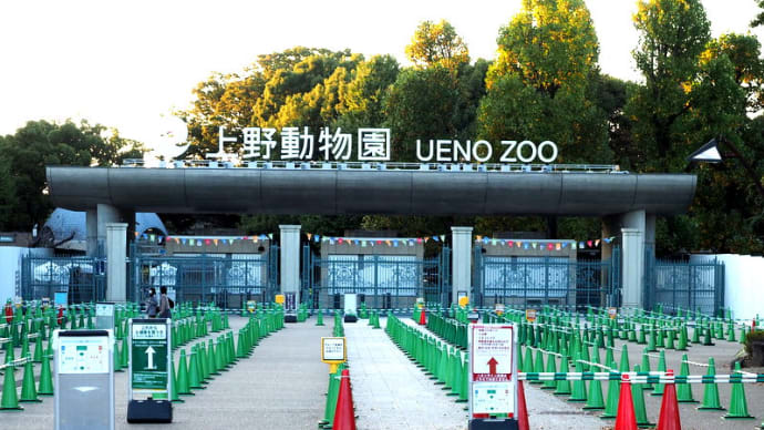 上野歴史散歩㉗ 上野動物園 今年はパンダ来日50周年。当初はゾウもライオンさえもいない寂しい動物園だった
