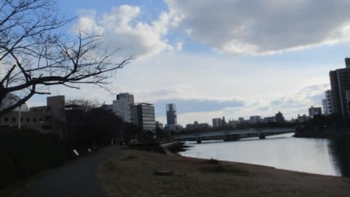 リバーサイドの保護ネコたち・・・寒風の中、元気に生きていました!がんばれ!キャッツ 広島市の本川の川辺より
