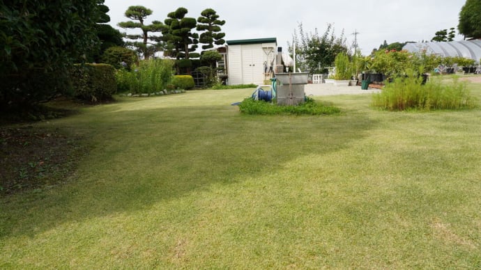 隣の芝は青い&秋が来た?