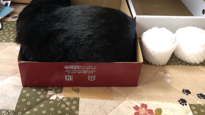 柿の箱