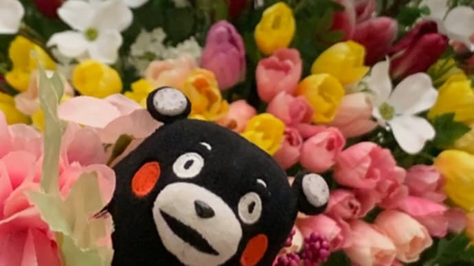 ❤️過去に住んでいたエリアの紹介❤️
