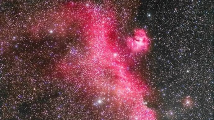かもめ星雲　sh2-263（エンゼルフィッシュのえさ星雲）　再度ばら星雲