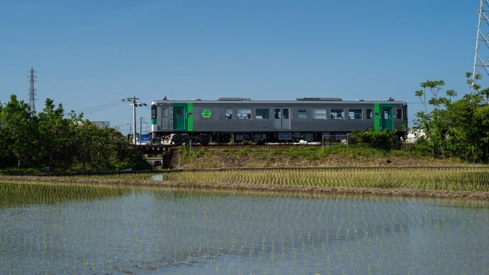 列車と水田 その2