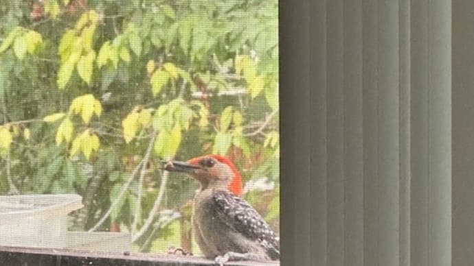 今しか出来ないこと
