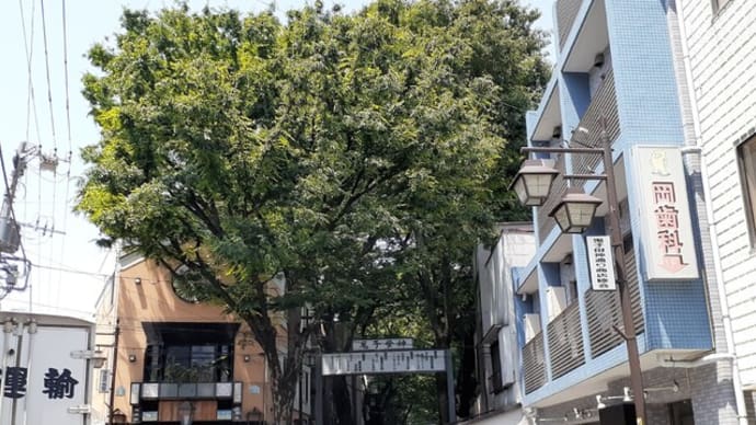 深緑の鬼子母神参道