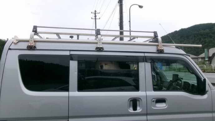 ワッワッワッ ”わさお” がいるーー!!