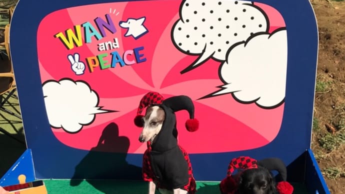 しっぽ舗ドッグランのWAN and PEACEのイベント