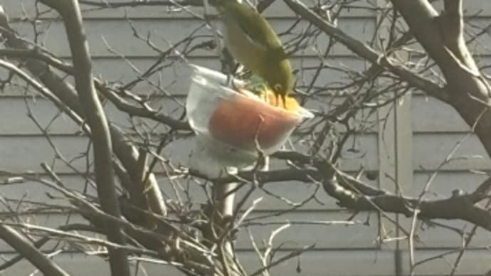 譲り合えばいいのにね
