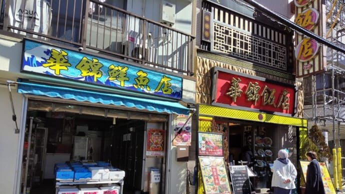 海鮮たっぷり麻婆豆腐【横浜中華街／華錦飯店】