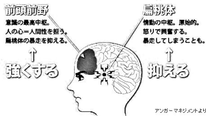 長期の扁桃体思考によって生まれる心の汚物
