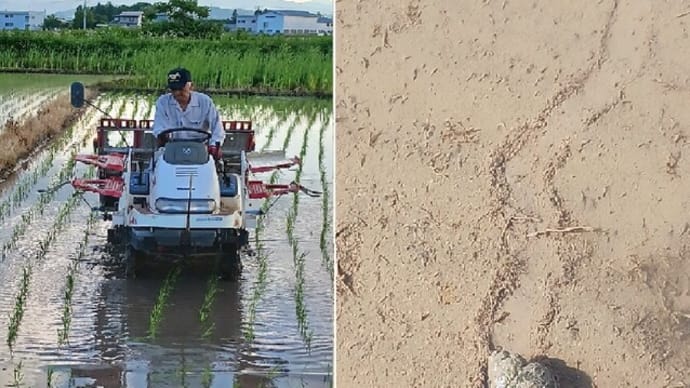 長く生きれば何かかんかあるもんさ^^;