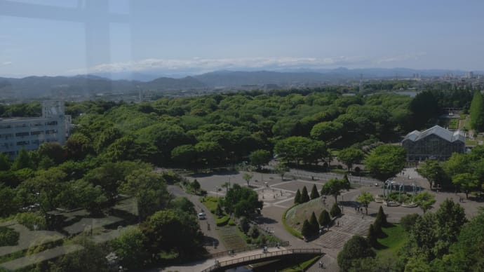 20220430 相模原公園で城山を 12 Fujifilm-Digtal Camera X100T