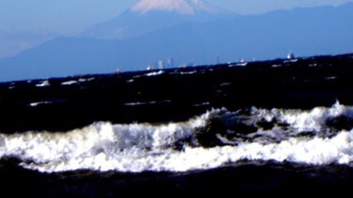 風の強い11月24日の検見川浜