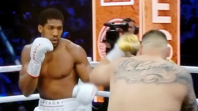 超速報・世紀の大凡戦!ジョシュア逃げ回って勝つ
