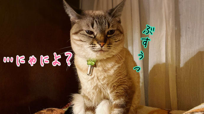 お久しぶりのサル座り