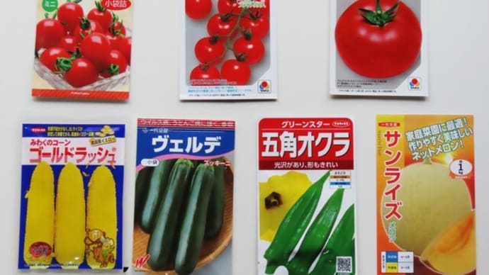 夏野菜のタネまき