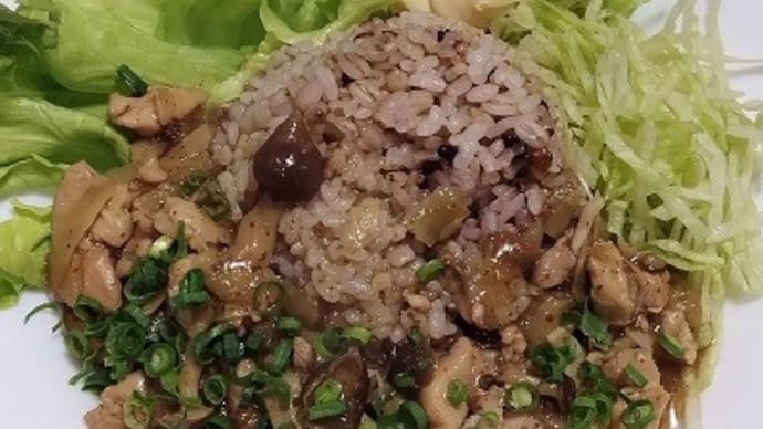 【03/21昼食】有田鶏ささがき牛蒡甘辛煮、洋食風に見えるけど１００％和食なんだね：P