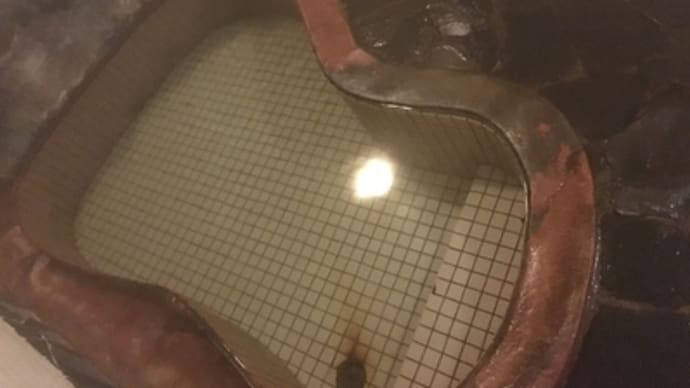 温泉でしあわせ