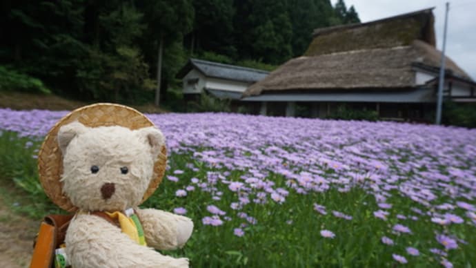 ミモロが案内する自然豊かな京都。「2022　ミモロの京都暮らしカレンダー」で楽しんで～